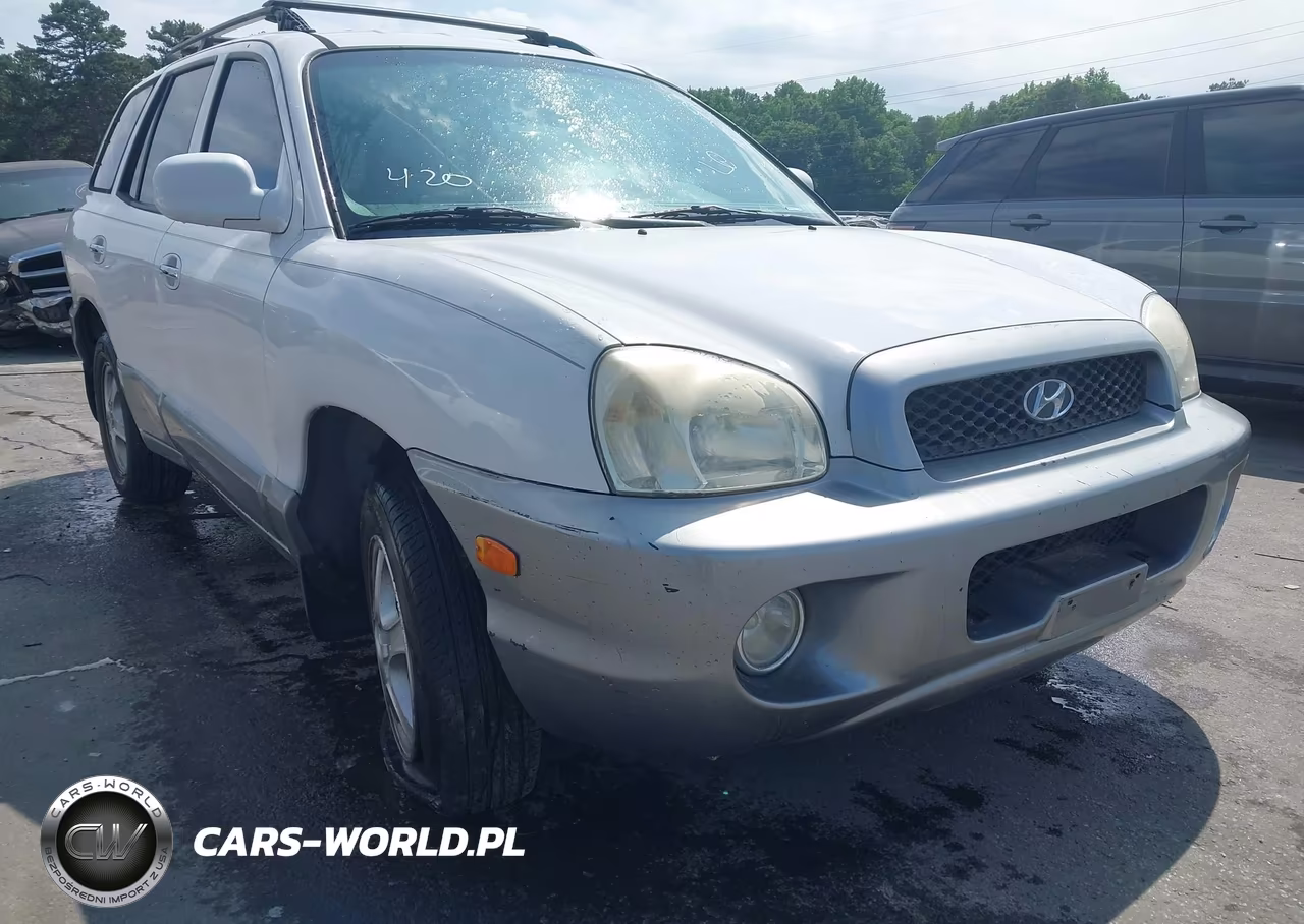 2001 Hyundai Santa Fe 2.7L V6 Gls-2.7L V6 Lx VIN:KM8SC83D51U124297 - 6
