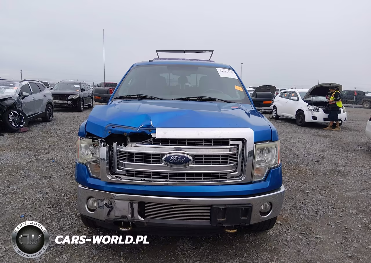 2013 Ford F-150 Xlt VIN:1FTFW1ETXDFD53740 - 12