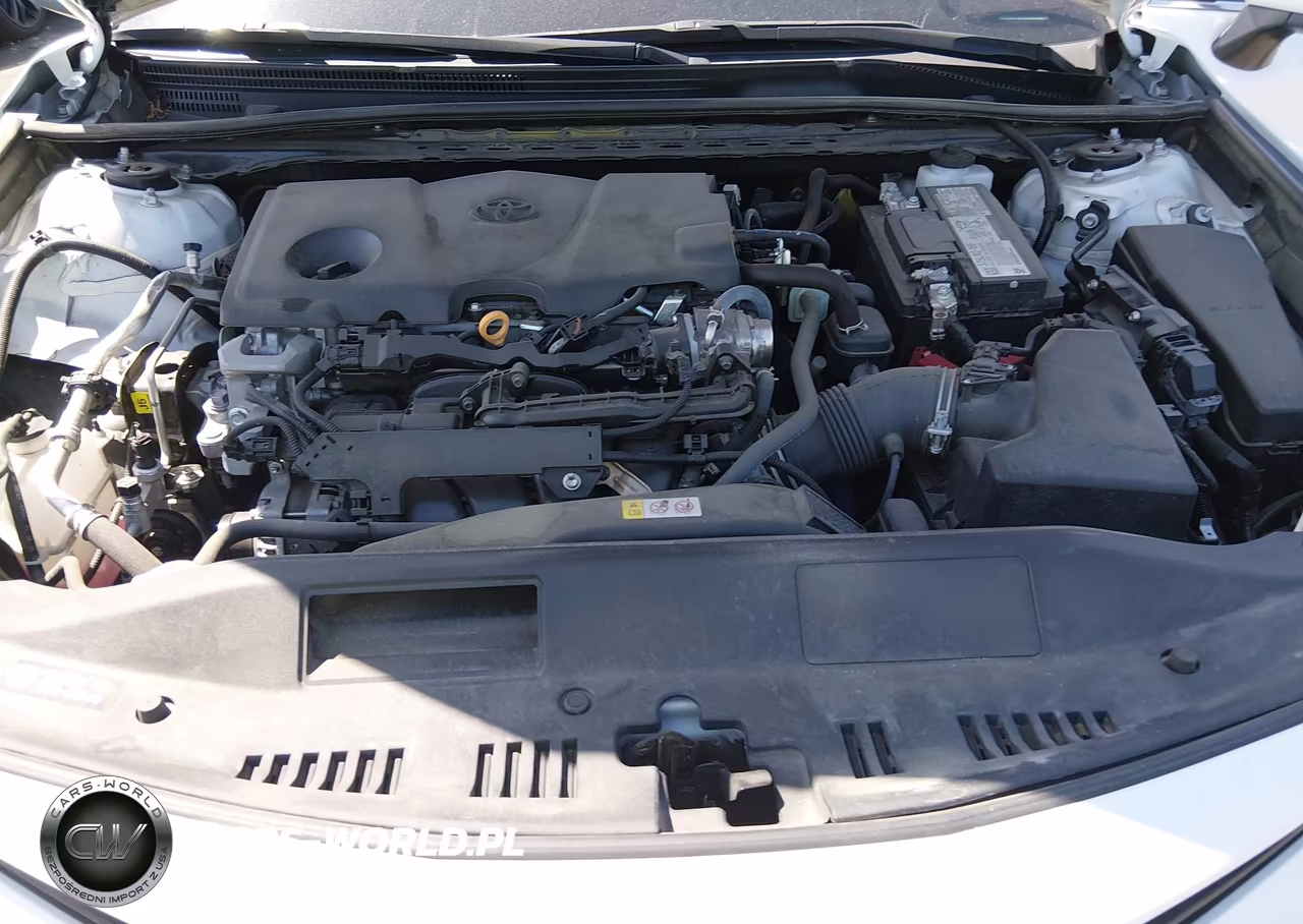 2023 Toyota Camry Le VIN:4T1C11AK7PU165350 - 10