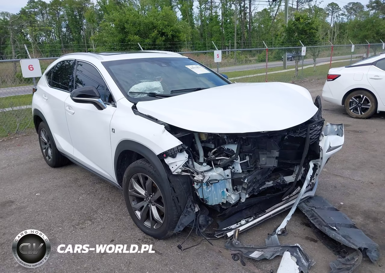 2019 Lexus Nx 300 F Sport