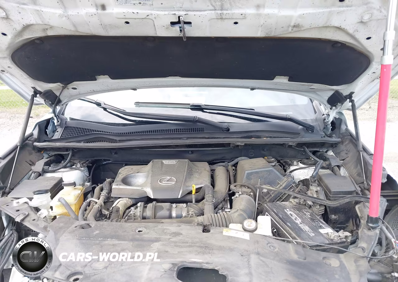 2019 Lexus Nx 300 F Sport VIN:JTJYARBZ8K2127924 - 10