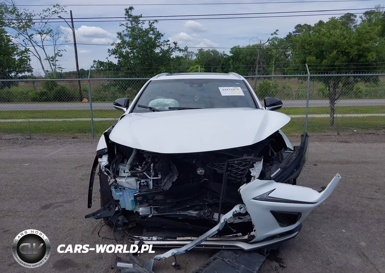 2019 Lexus Nx 300 F Sport VIN:JTJYARBZ8K2127924 - 12