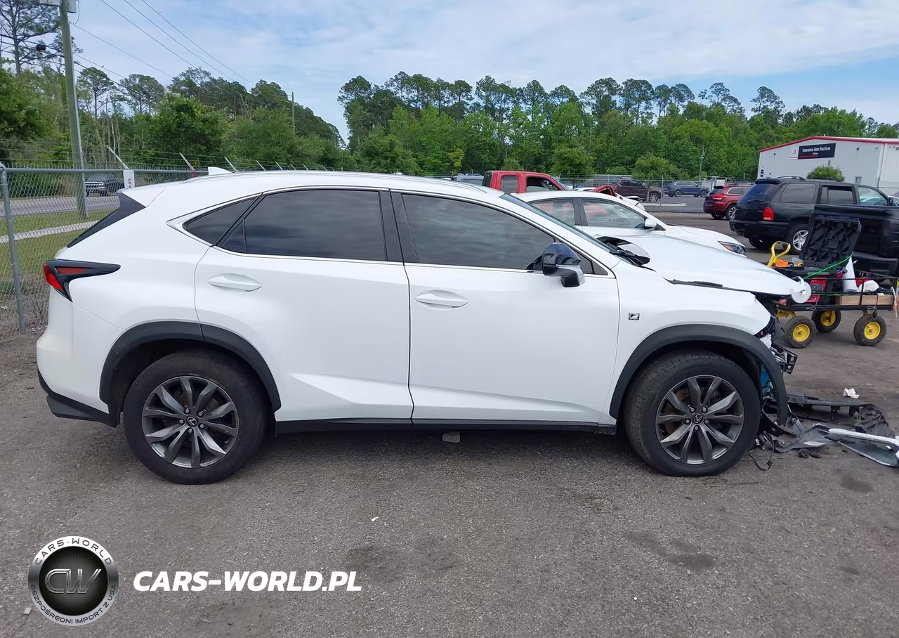 2019 Lexus Nx 300 F Sport VIN:JTJYARBZ8K2127924 - 13