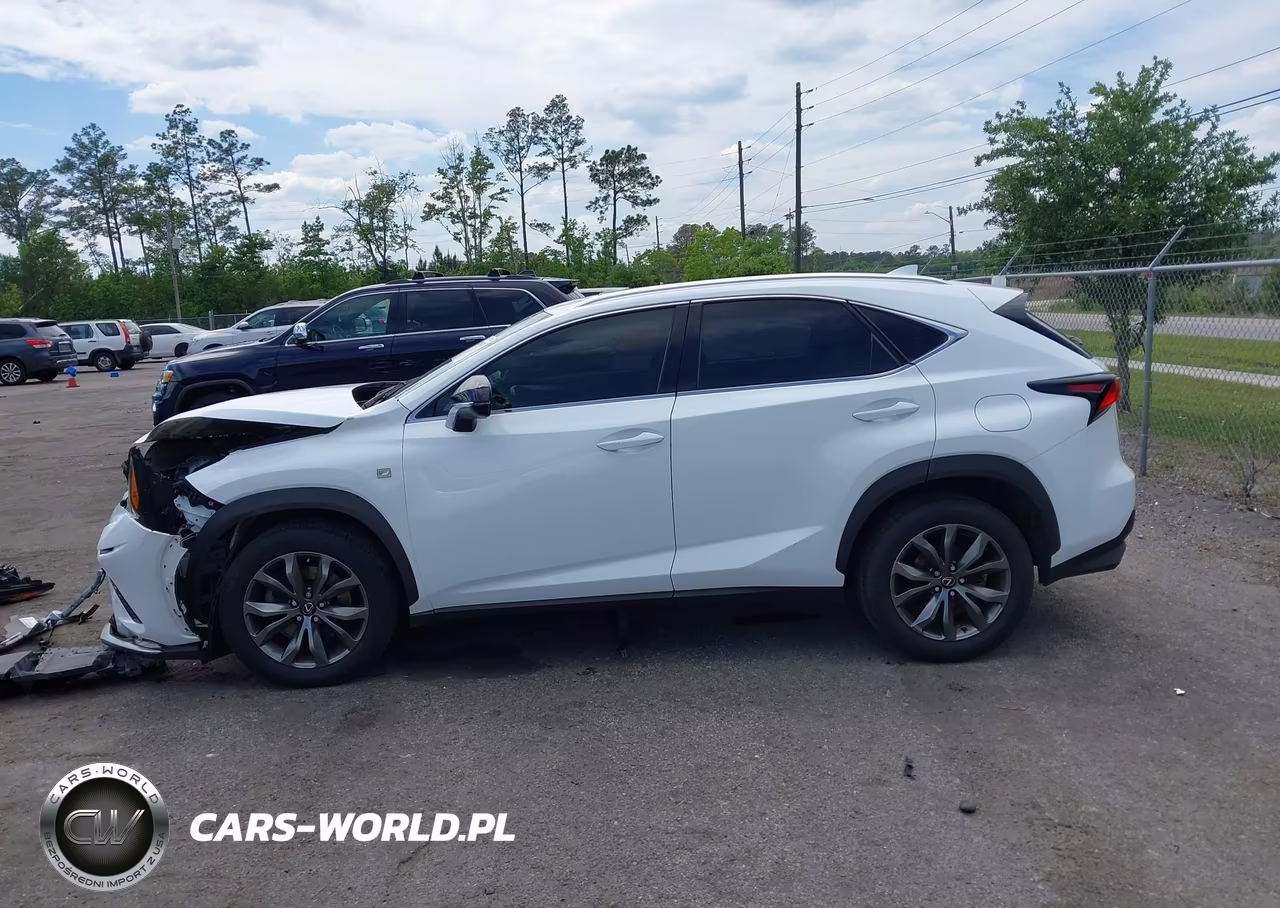 2019 Lexus Nx 300 F Sport VIN:JTJYARBZ8K2127924 - 14
