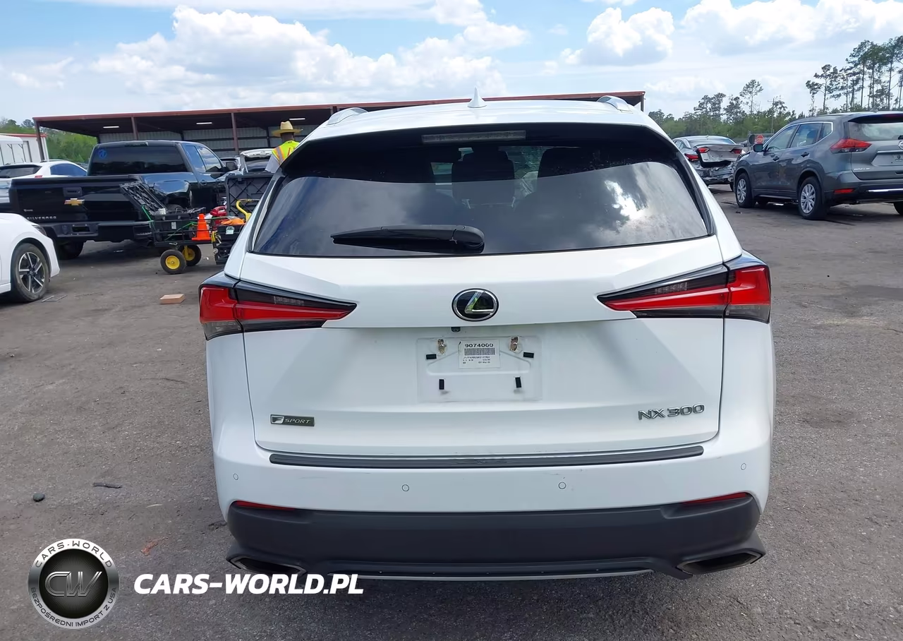 2019 Lexus Nx 300 F Sport VIN:JTJYARBZ8K2127924 - 16