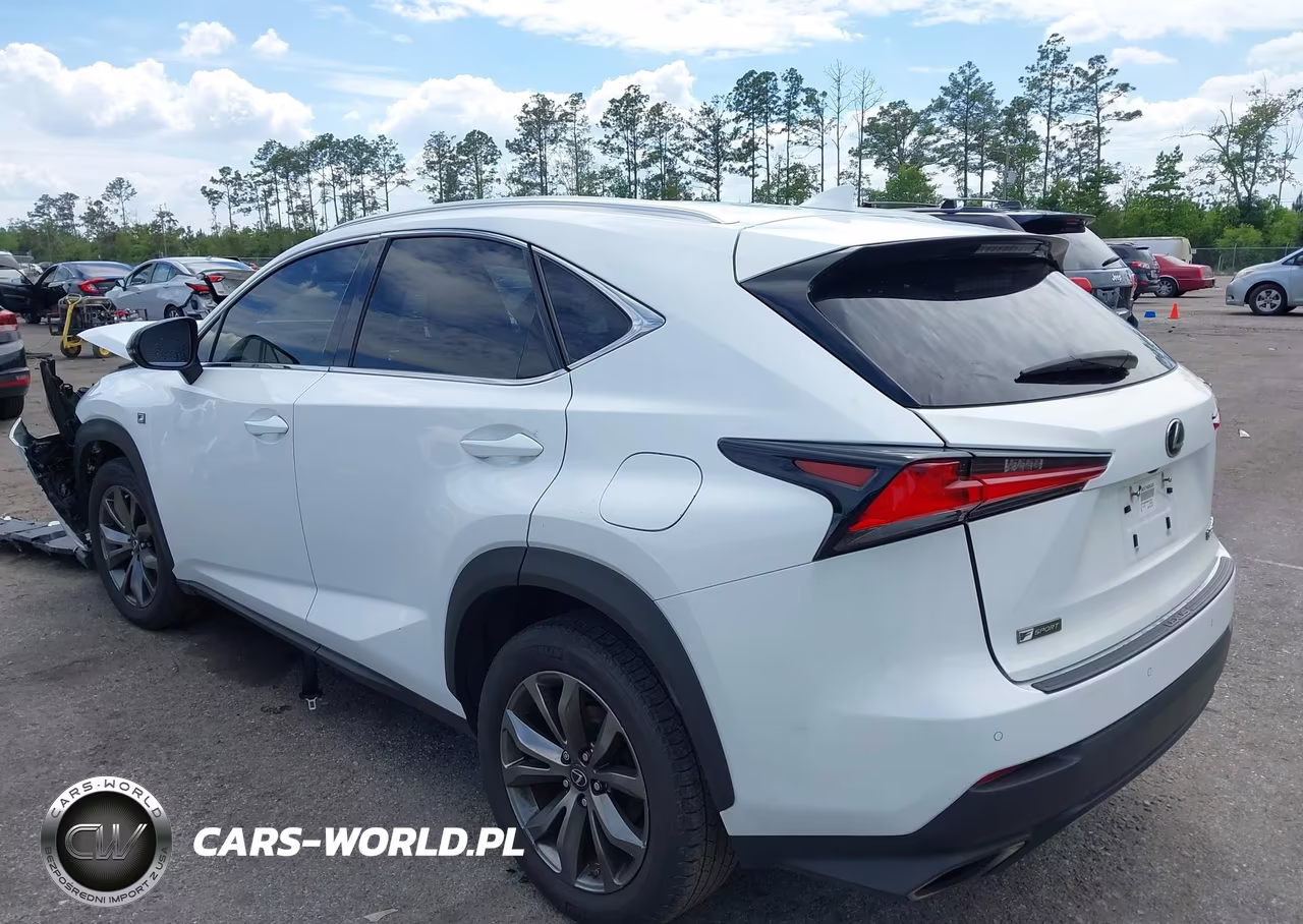 2019 Lexus Nx 300 F Sport VIN:JTJYARBZ8K2127924 - 3