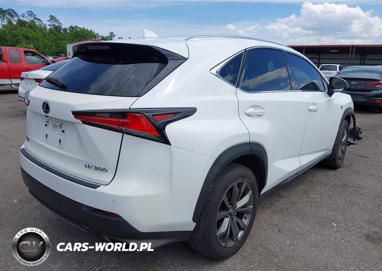 2019 Lexus Nx 300 F Sport VIN:JTJYARBZ8K2127924 - 4