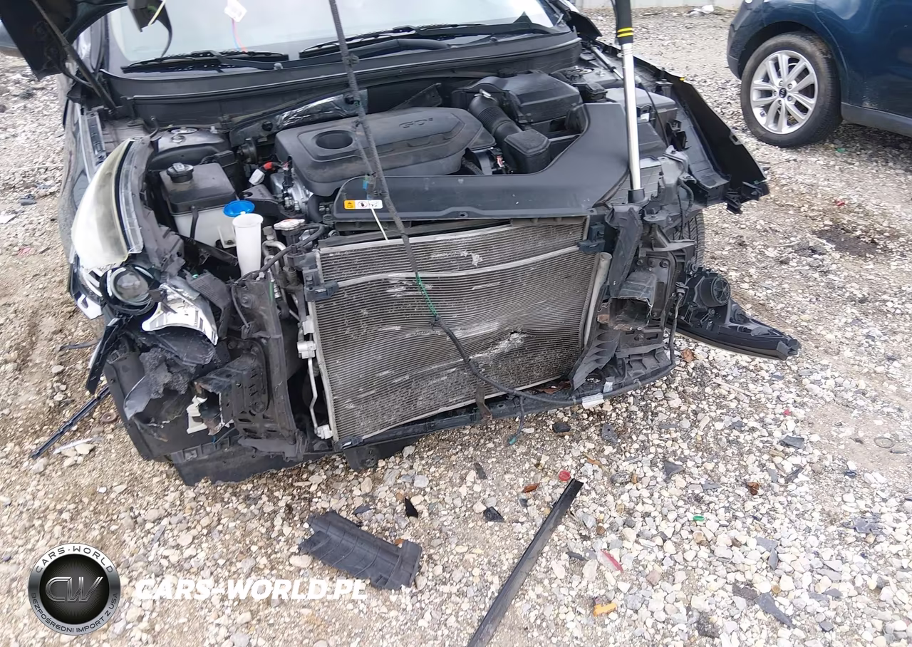 2016 Hyundai Sonata Se VIN:5NPE24AF9GH282291 - 6