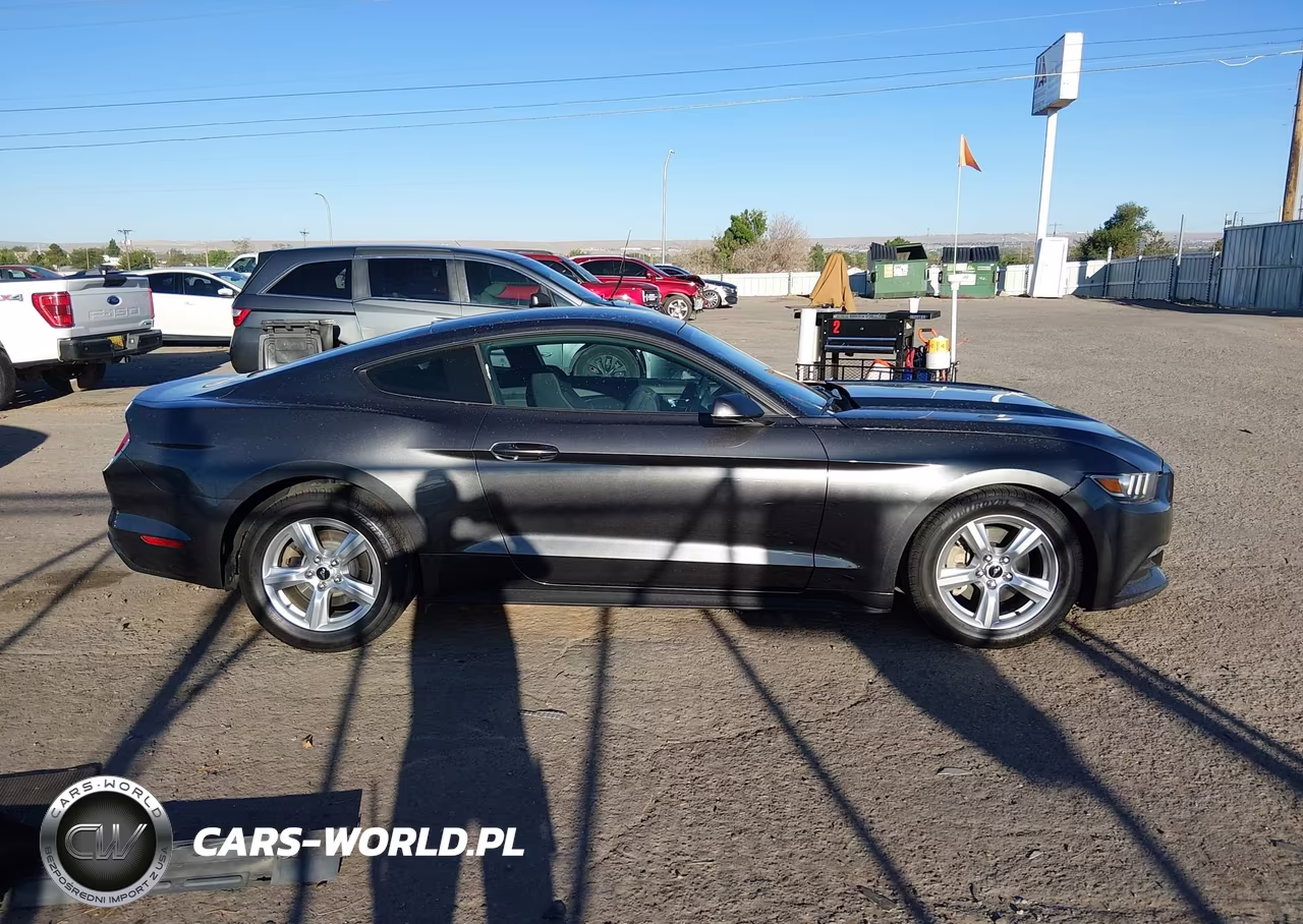 2015 Ford Mustang V6 VIN:1FA6P8AM8F5345056 - 13