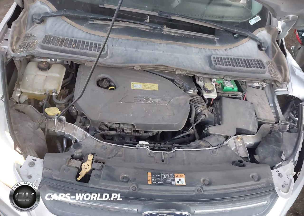 2014 Ford Escape Se VIN:1FMCU0GX7EUD17743 - 10