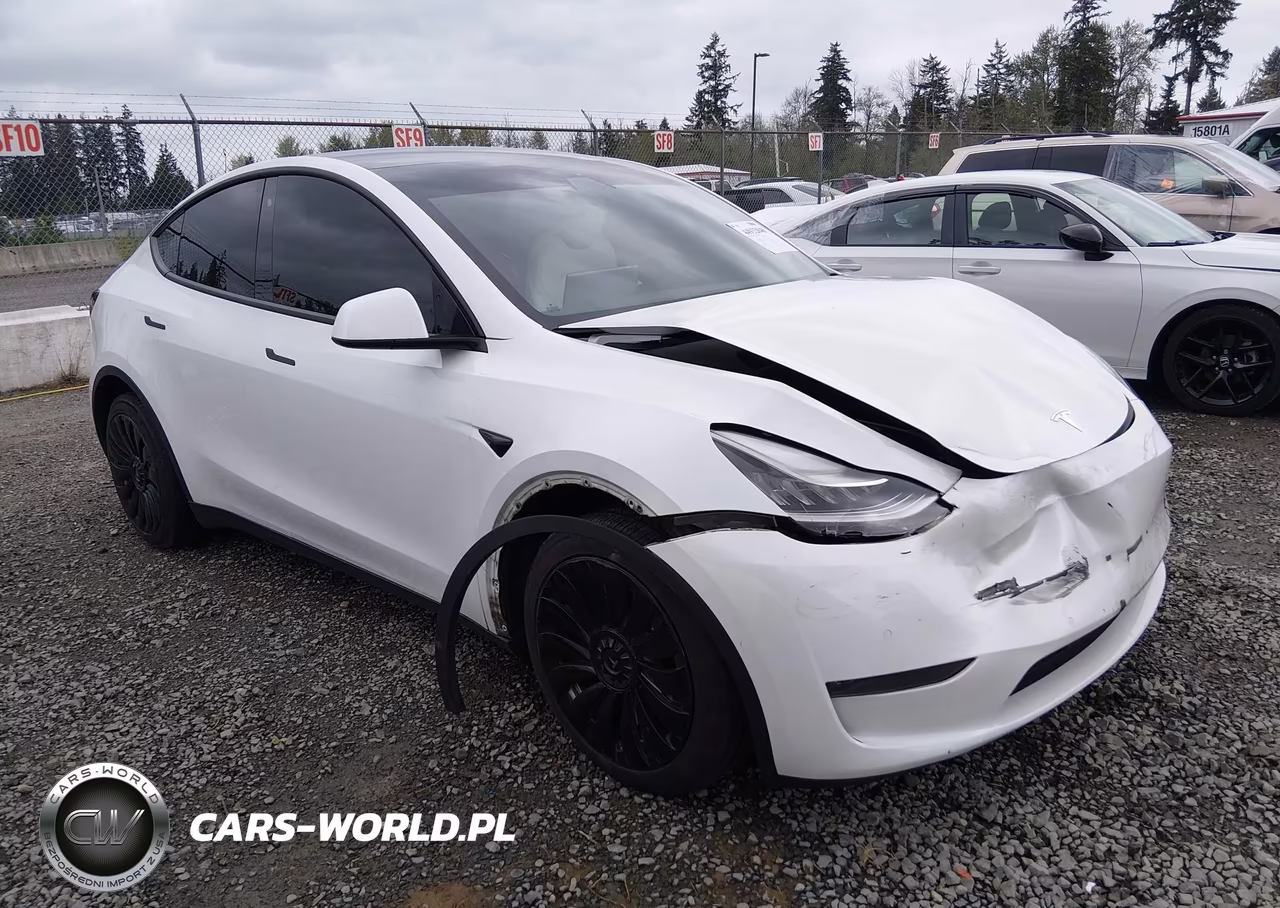 2020 Tesla Model Y Long Range Dual Motor All-Wheel Drive