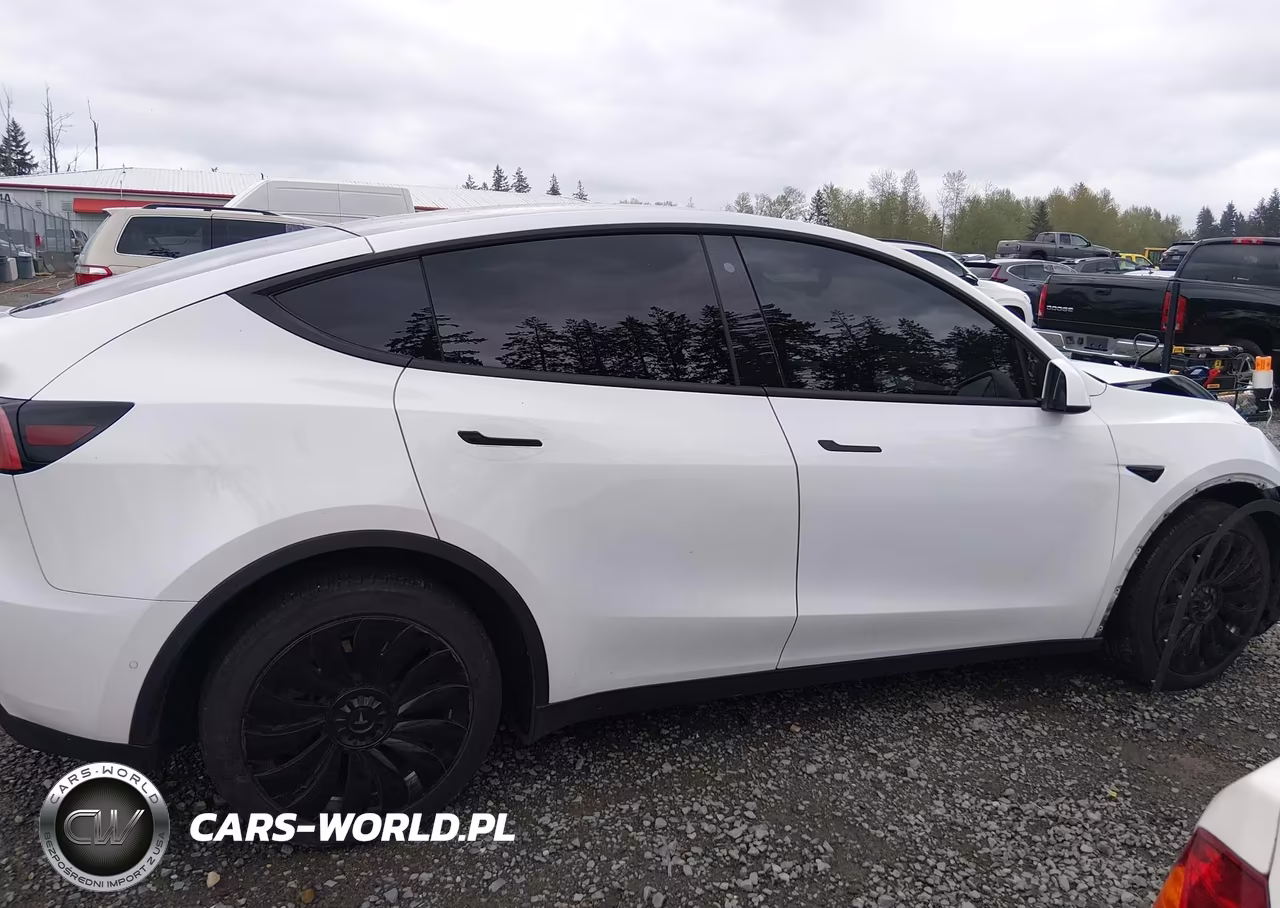 2020 Tesla Model Y Long Range Dual Motor All-Wheel Drive VIN:5YJYGDEEXLF039632 - 13