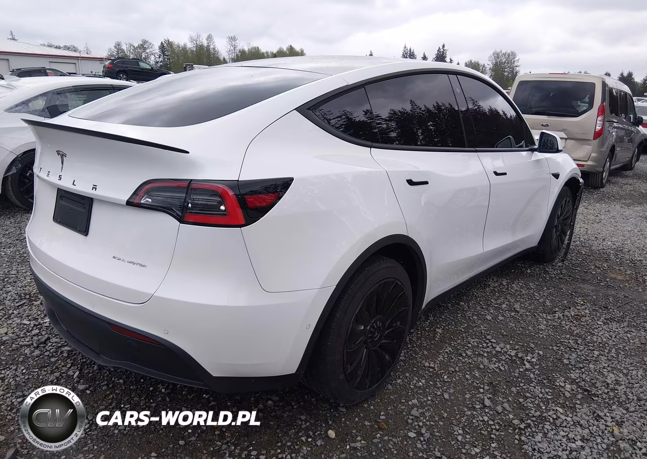2020 Tesla Model Y Long Range Dual Motor All-Wheel Drive VIN:5YJYGDEEXLF039632 - 4
