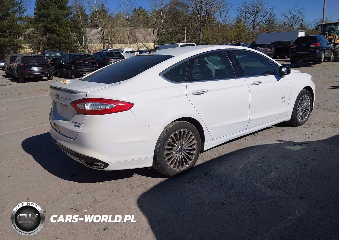2014 Ford Fusion Titanium VIN:3FA6P0D95ER260342 - 4