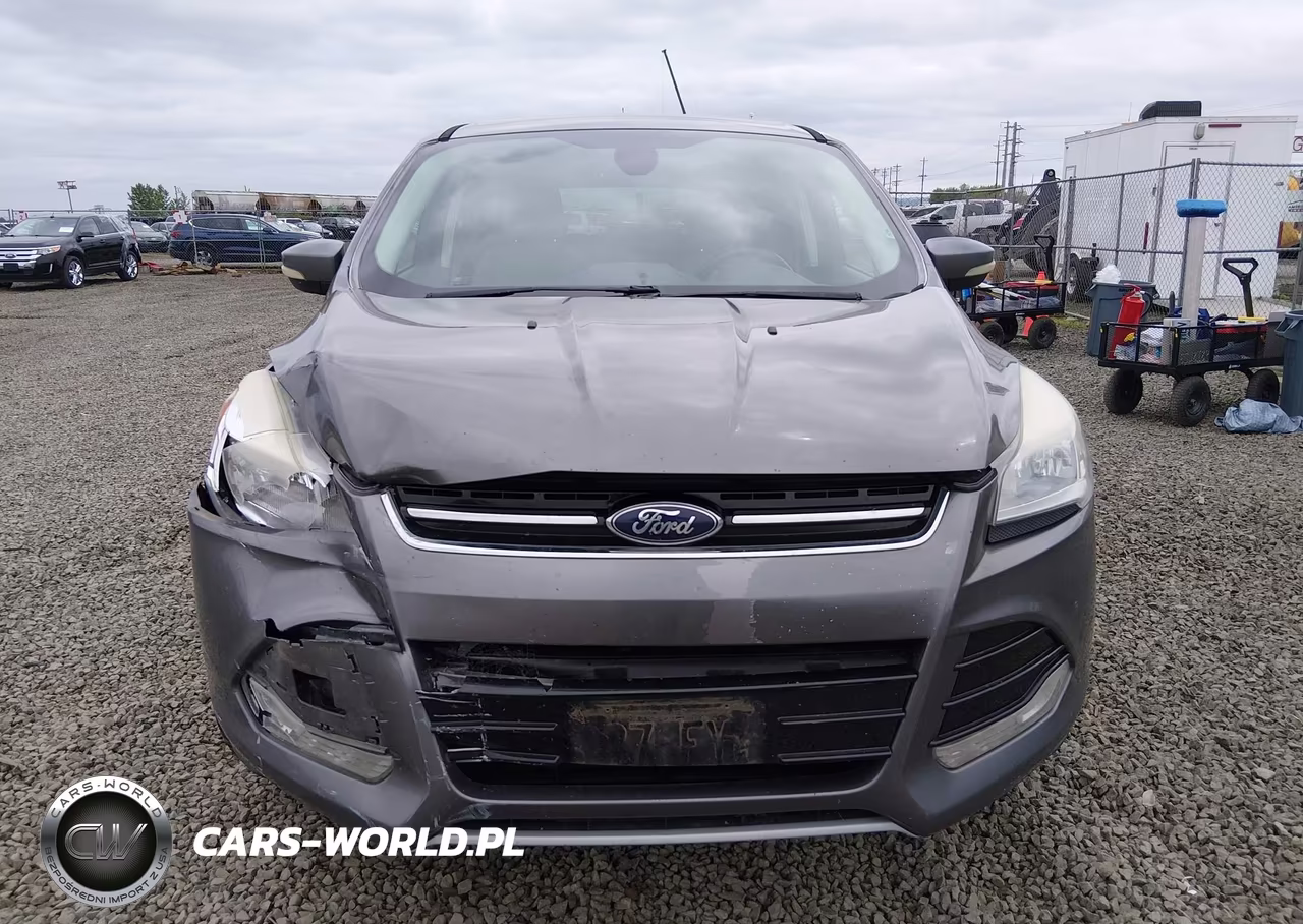 2013 Ford Escape Sel VIN:1FMCU9HX7DUA42215 - 12