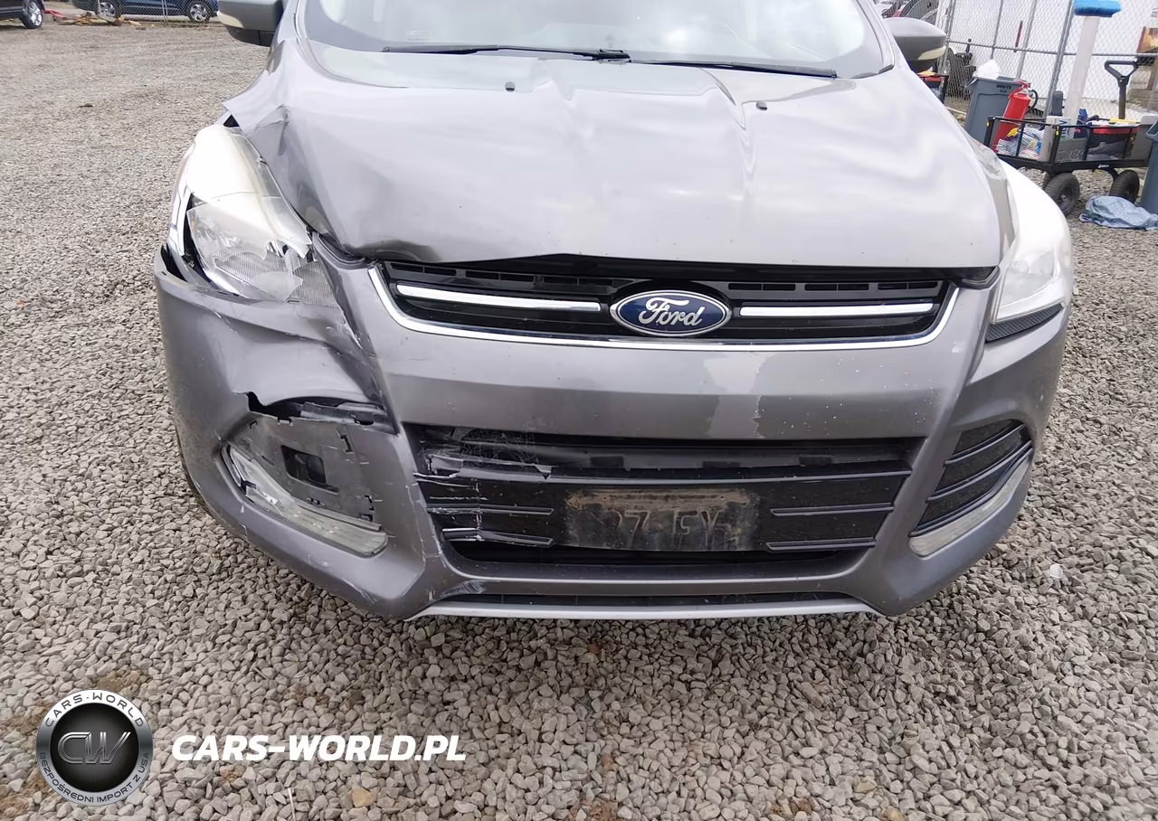 2013 Ford Escape Sel VIN:1FMCU9HX7DUA42215 - 6