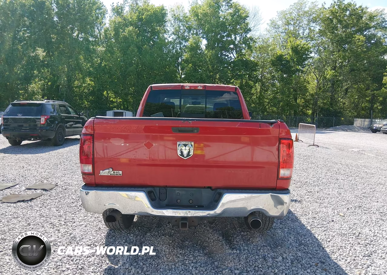 2010 Dodge Ram 1500 Slt-Sport-Trx VIN:1D7RB1GT9AS122407 - 17