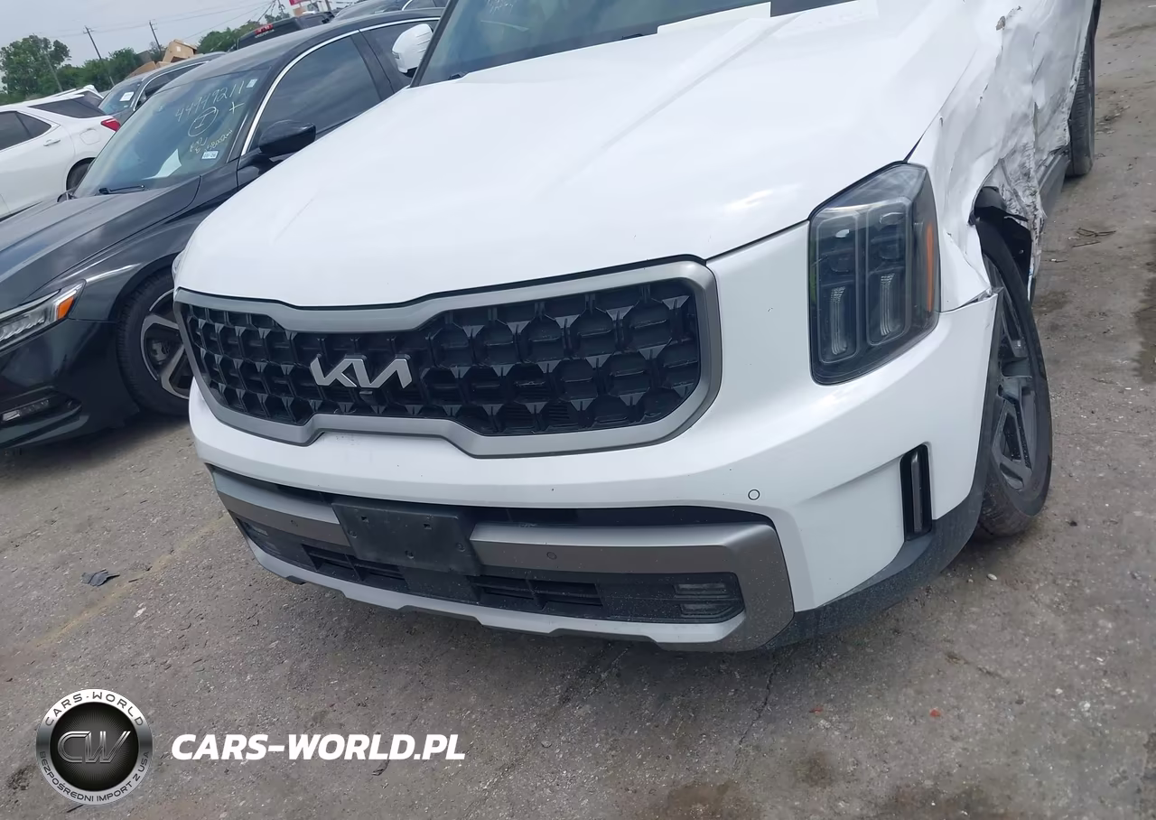 2023 Kia Telluride Sx X-Line VIN:5XYP5DGC8PG409505 - 12