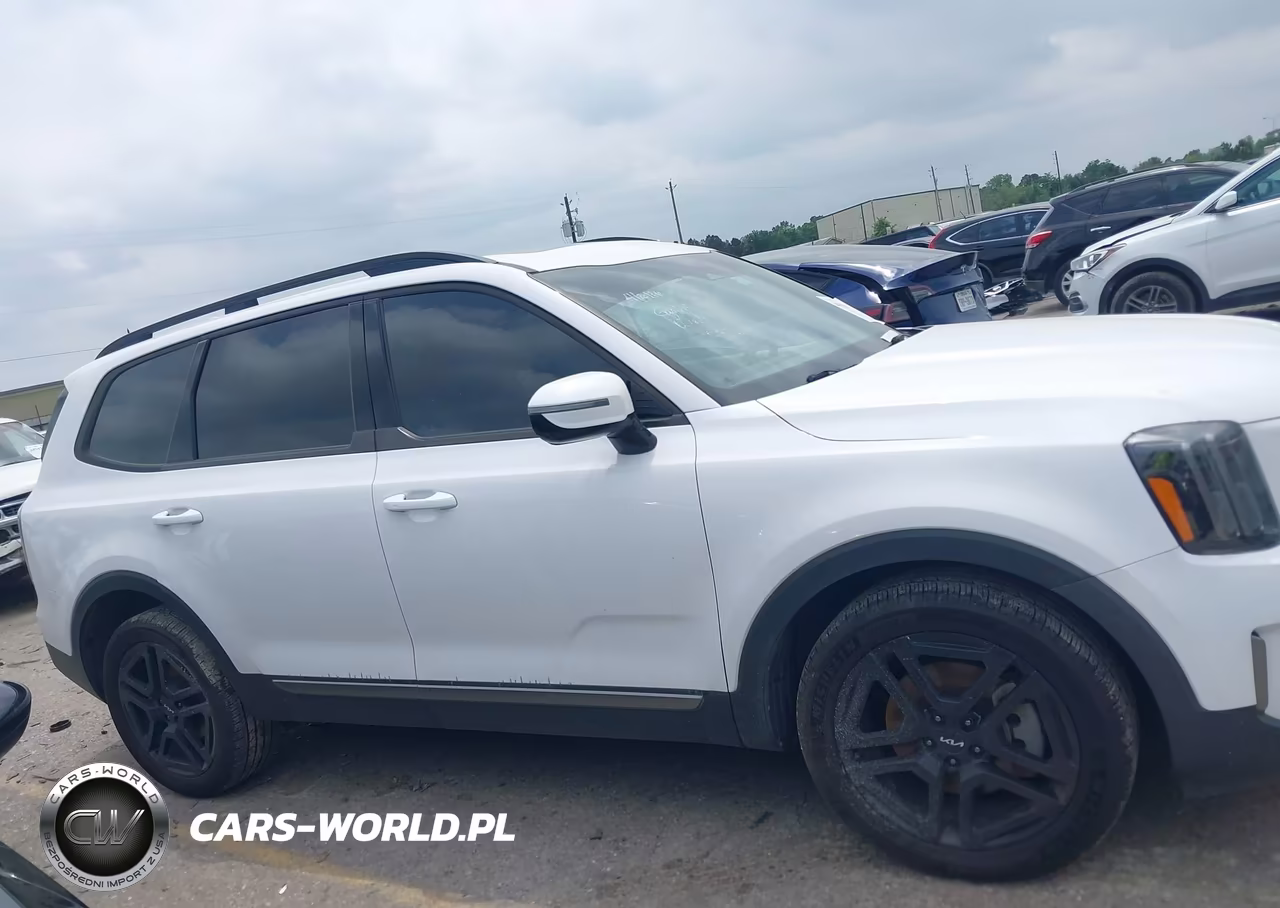2023 Kia Telluride Sx X-Line VIN:5XYP5DGC8PG409505 - 13