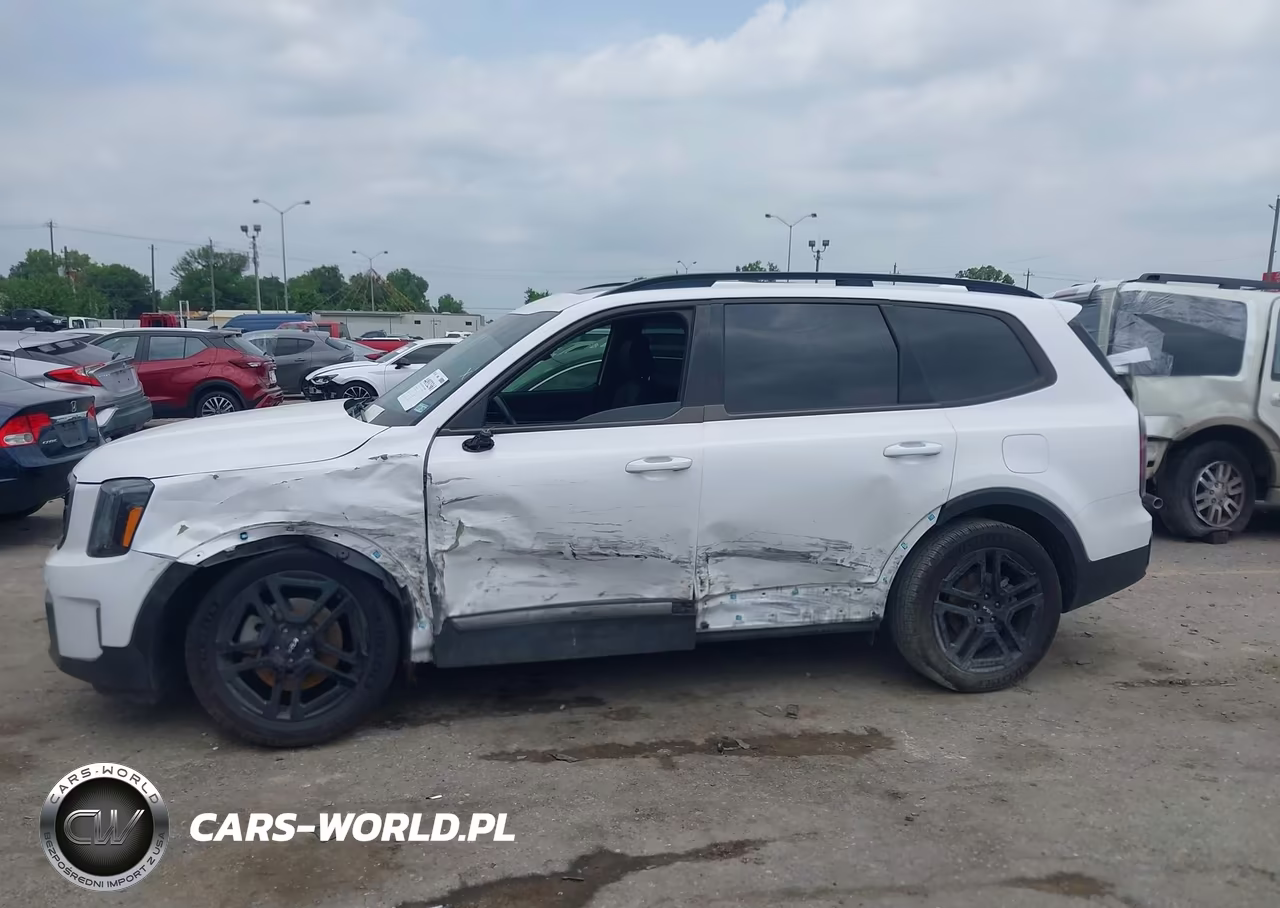 2023 Kia Telluride Sx X-Line VIN:5XYP5DGC8PG409505 - 14