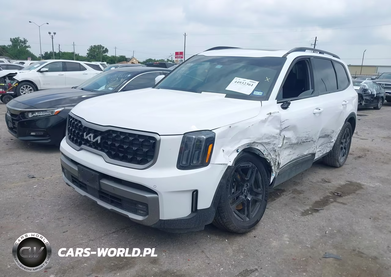 2023 Kia Telluride Sx X-Line VIN:5XYP5DGC8PG409505 - 2