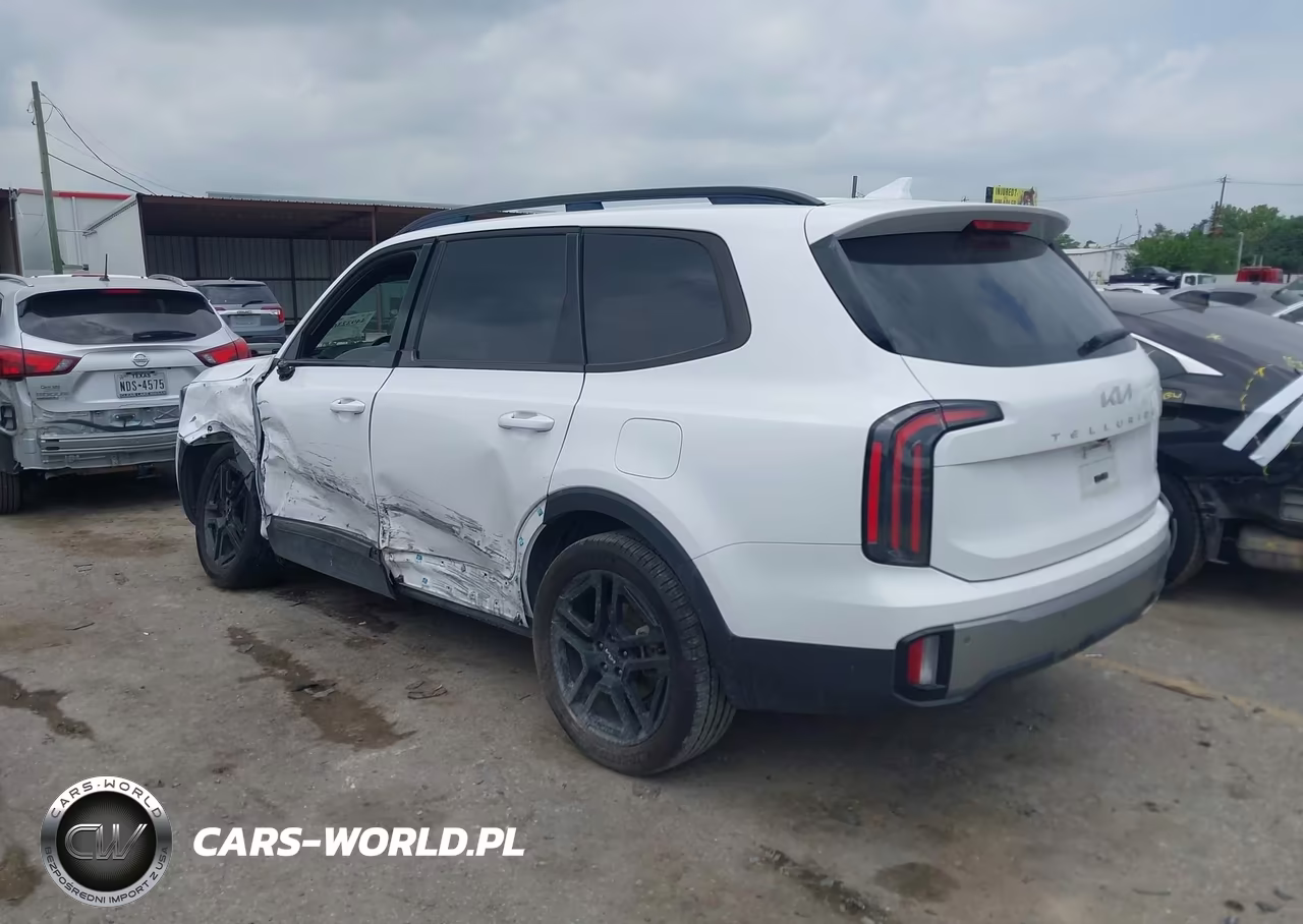 2023 Kia Telluride Sx X-Line VIN:5XYP5DGC8PG409505 - 3