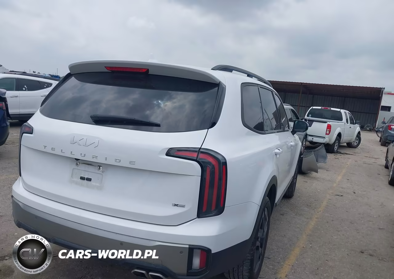 2023 Kia Telluride Sx X-Line VIN:5XYP5DGC8PG409505 - 4