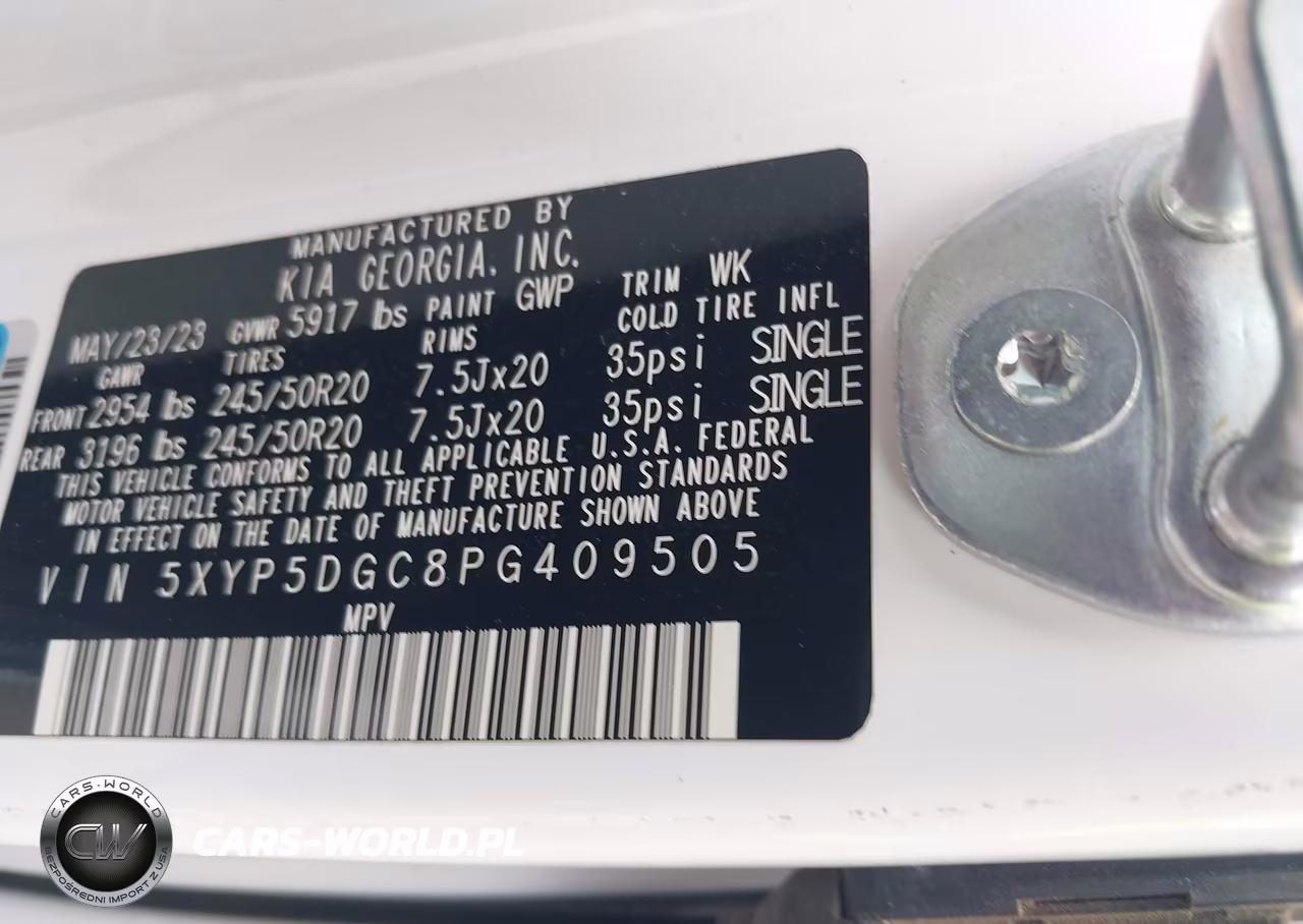 2023 Kia Telluride Sx X-Line VIN:5XYP5DGC8PG409505 - 9
