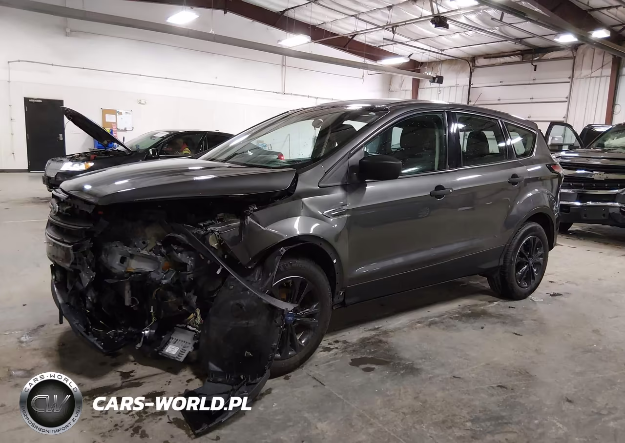 2017 Ford Escape S VIN:1FMCU0F73HUB00003 - 2