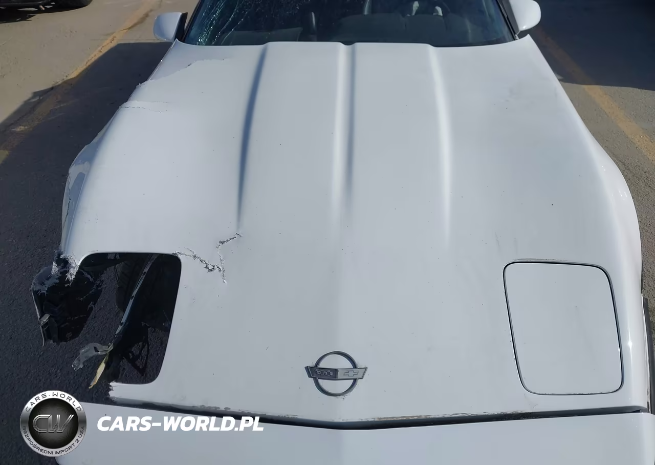 1990 Chevrolet Corvette VIN:1G1YY3380L5107788 - 10