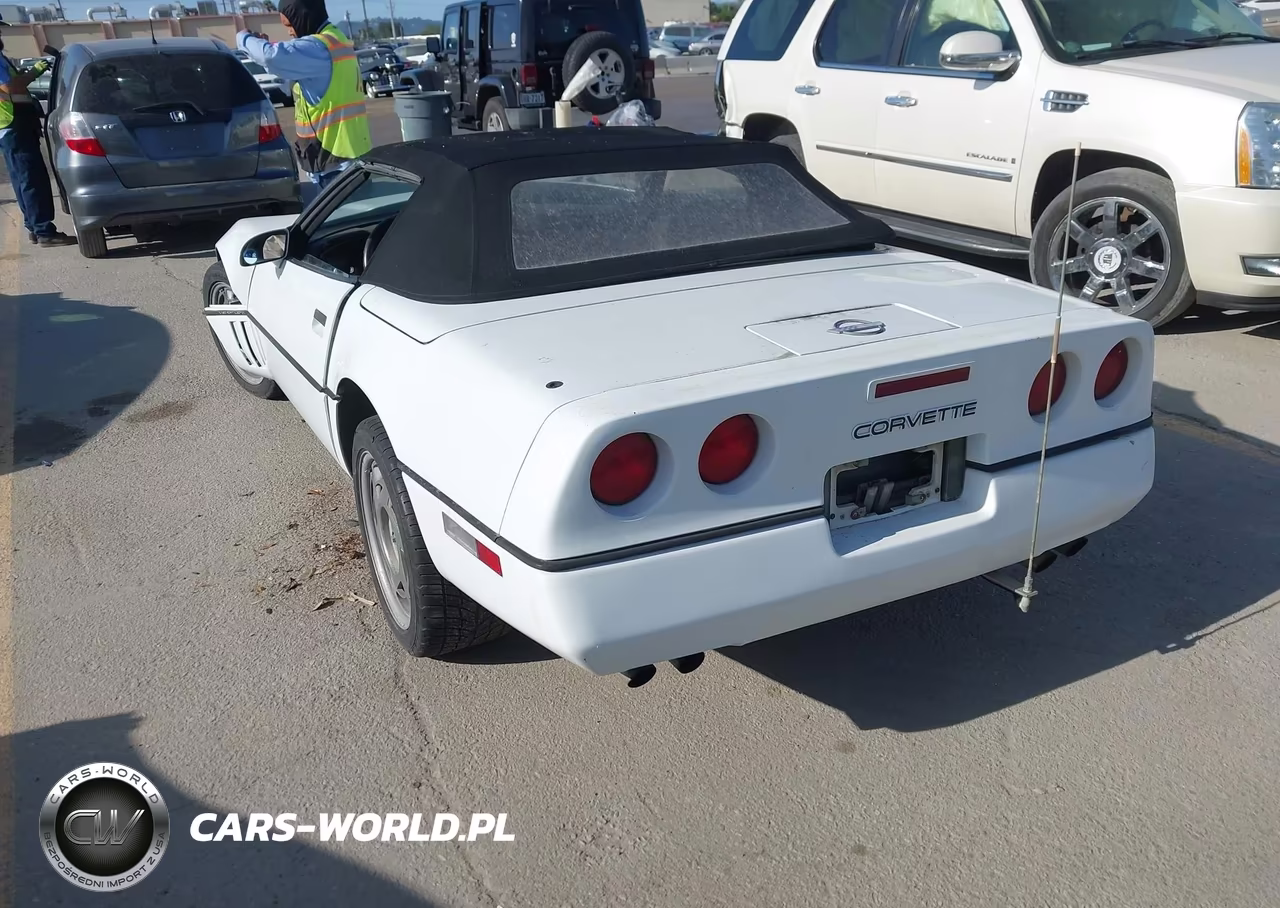 1990 Chevrolet Corvette VIN:1G1YY3380L5107788 - 3