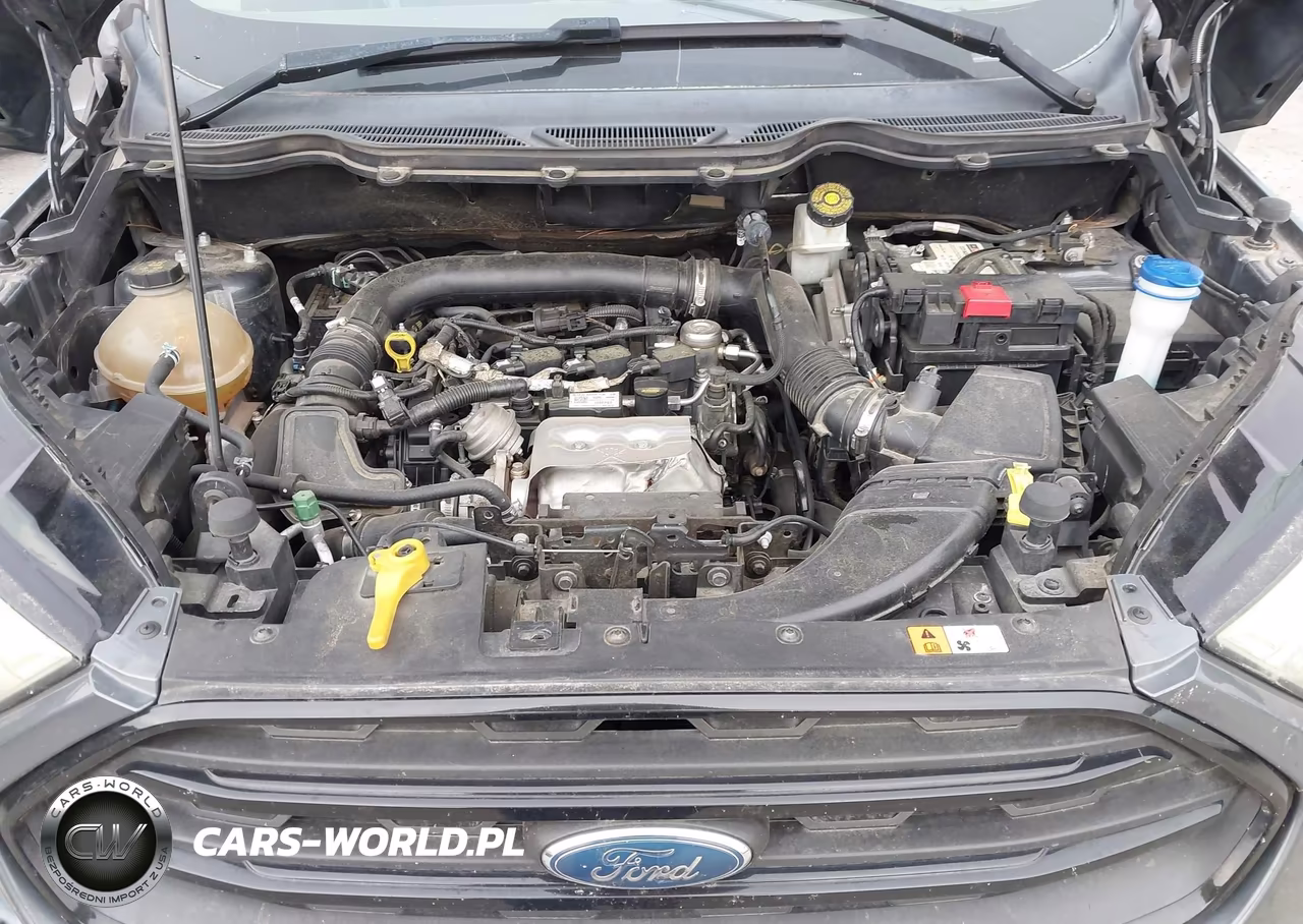 2018 Ford Ecosport S VIN:MAJ3P1RE9JC176855 - 10