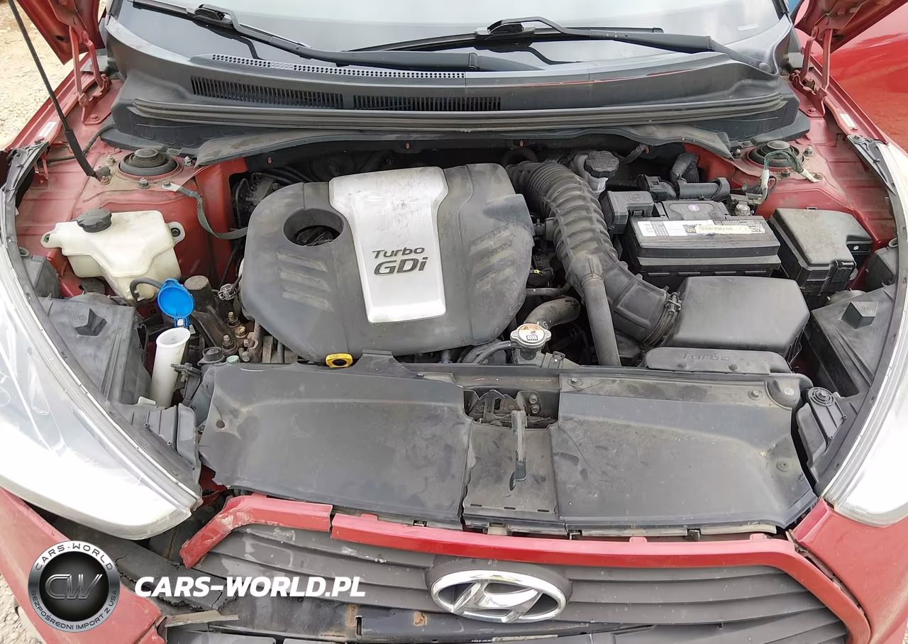 2013 Hyundai Veloster Turbo W-Black VIN:KMHTC6AE2DU128543 - 10