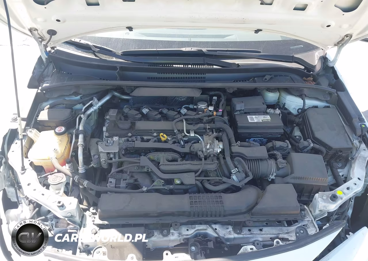 2020 Toyota Corolla Se VIN:JTDS4RCEXLJ028010 - 10