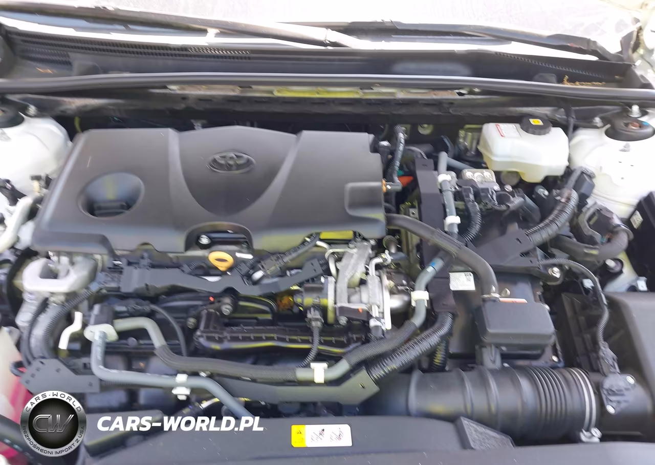 2020 Toyota Camry Se Hybrid VIN:4T1J31AK7LU532596 - 10