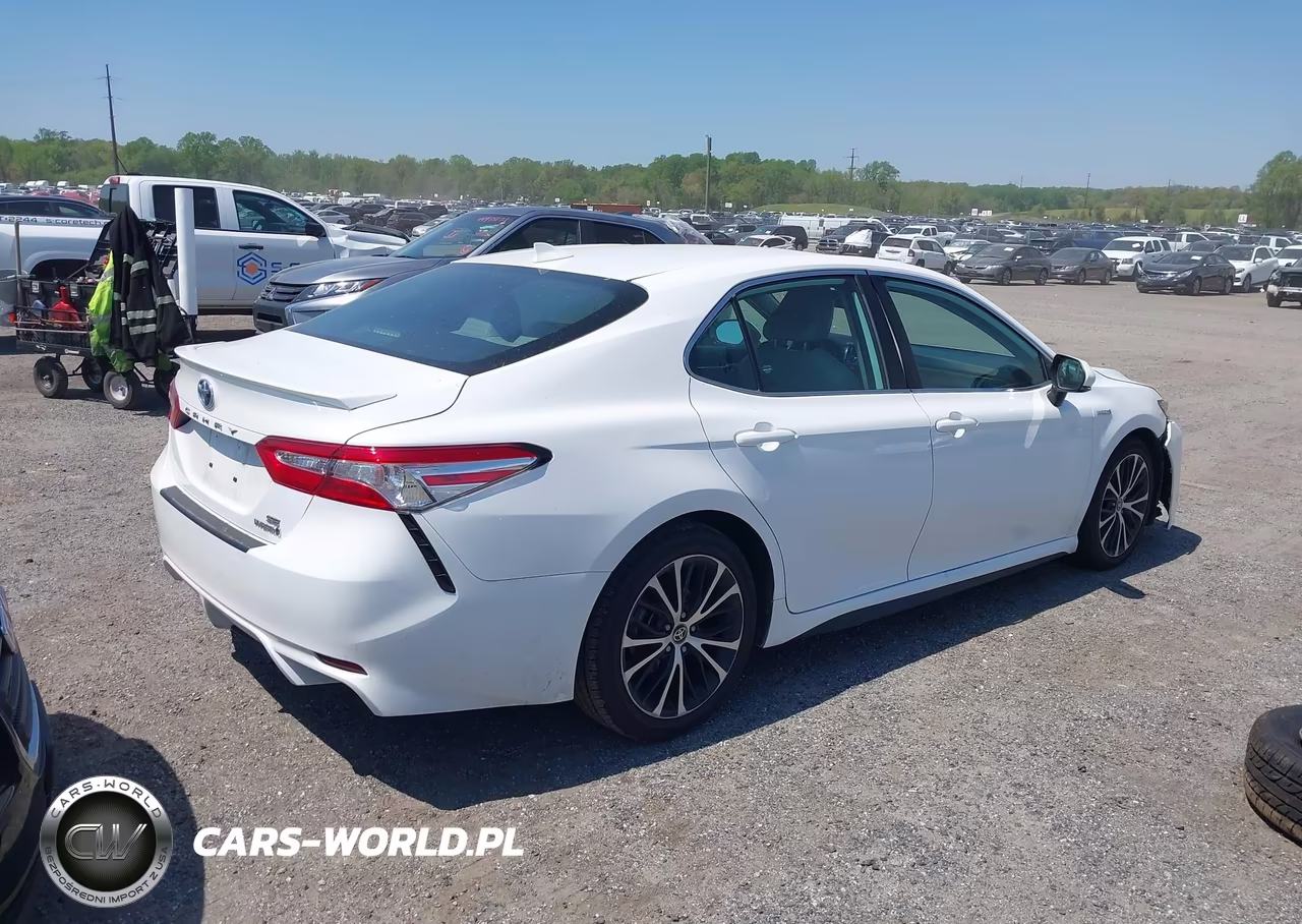 2020 Toyota Camry Se Hybrid VIN:4T1J31AK7LU532596 - 4