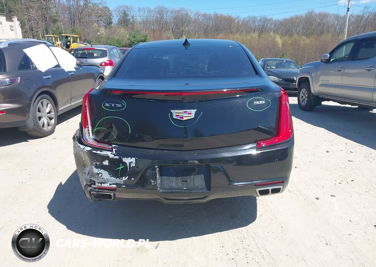 2019 Cadillac Xts Luxury VIN:2G61M5S32K9131018 - 16