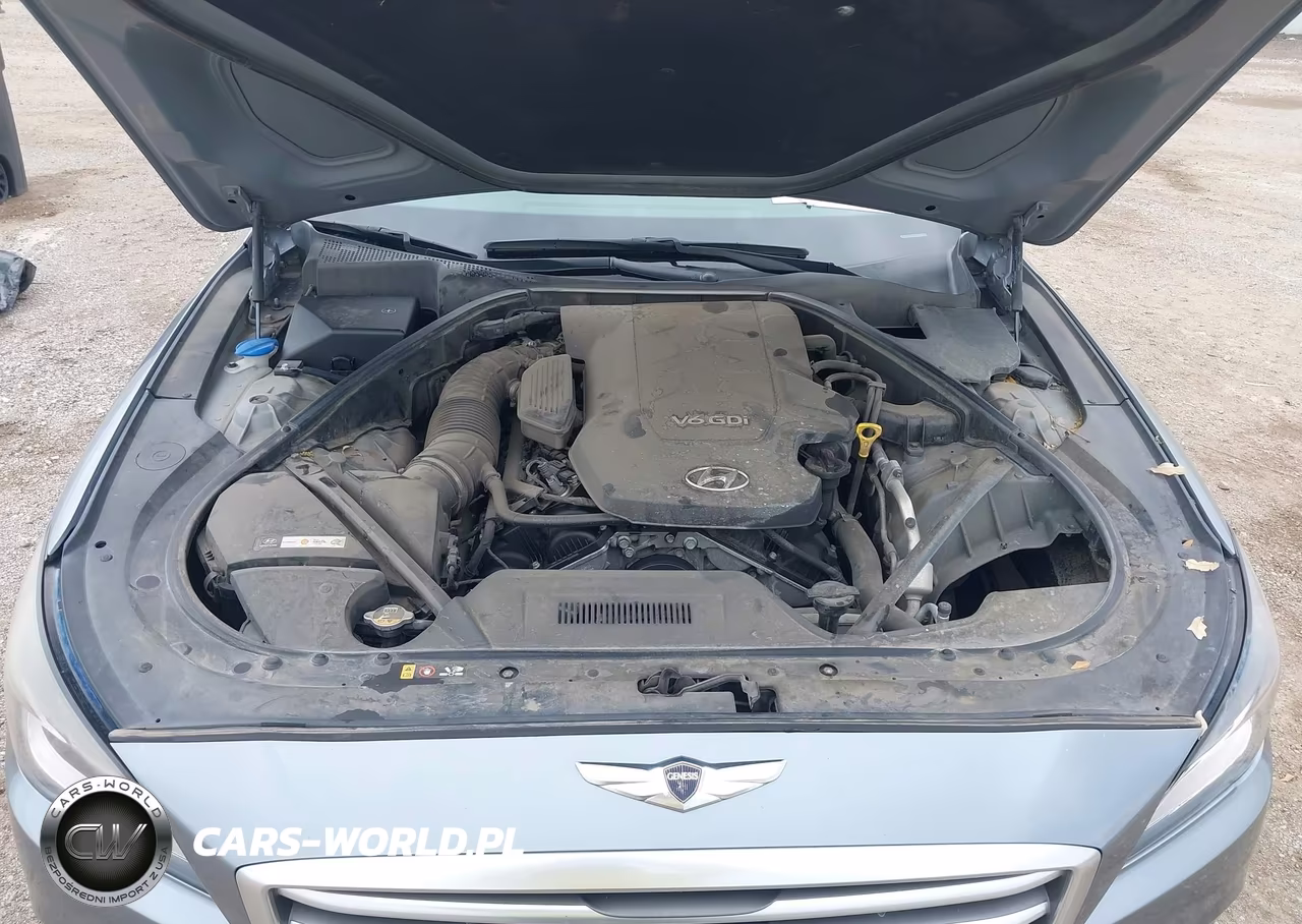 2015 Hyundai Genesis 3.8 VIN:KMHGN4JE8FU045816 - 10