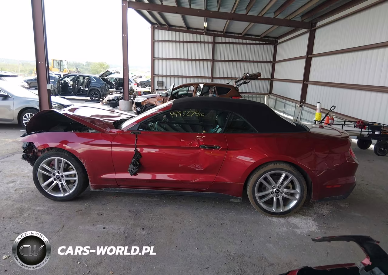 2017 Ford Mustang Ecoboost Premium VIN:1FATP8UH4H5303245 - 15