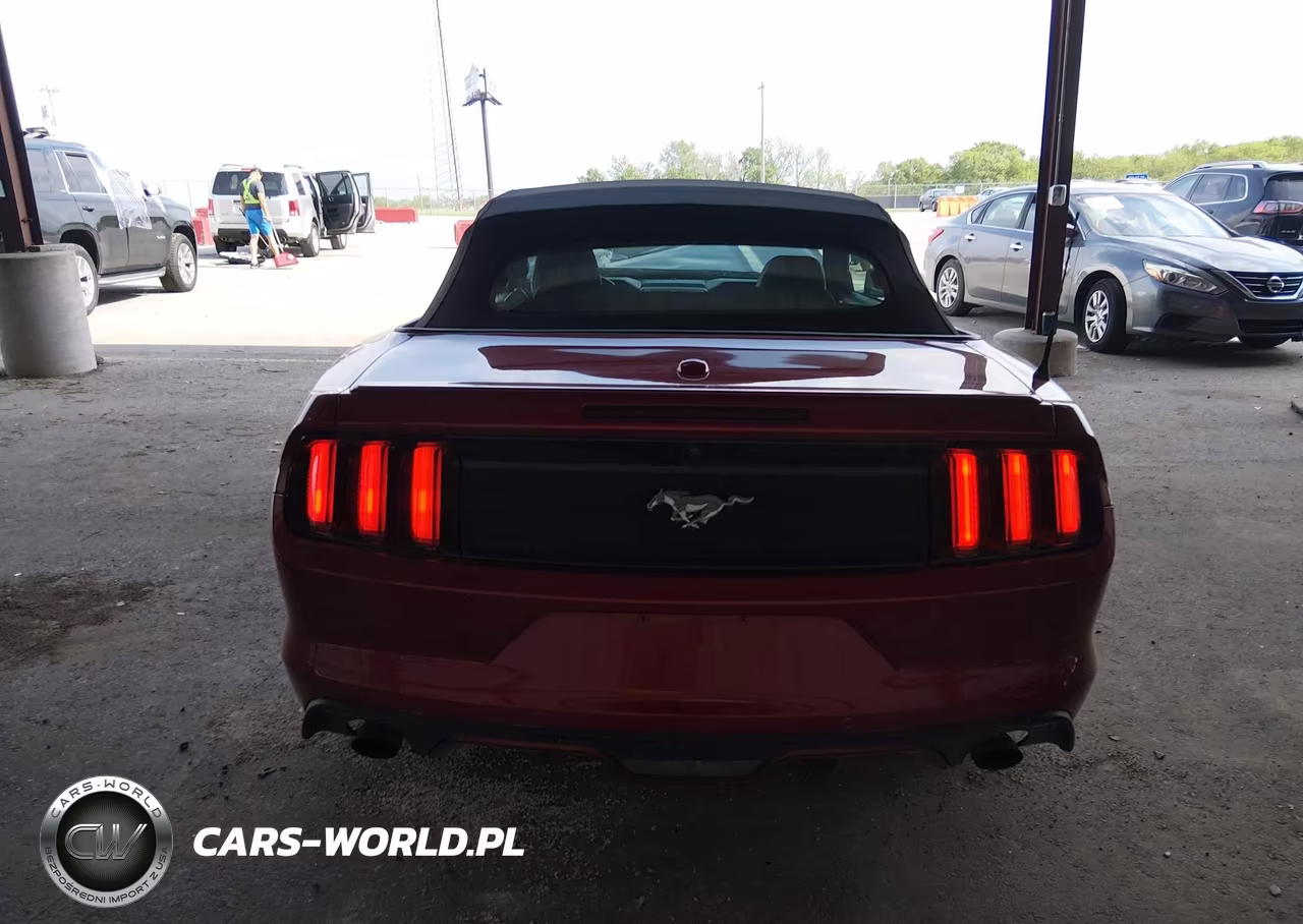 2017 Ford Mustang Ecoboost Premium VIN:1FATP8UH4H5303245 - 17