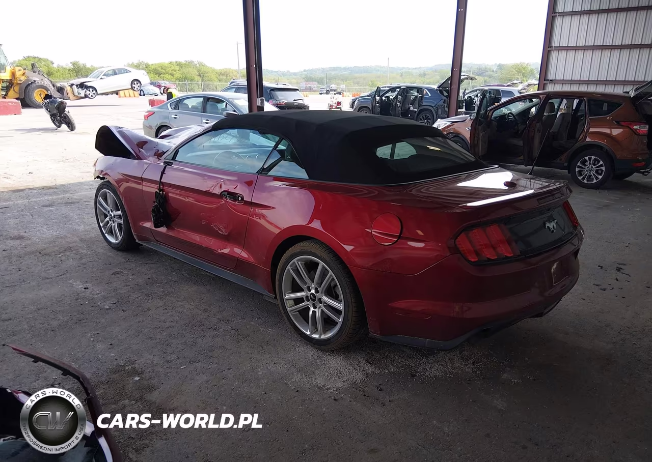 2017 Ford Mustang Ecoboost Premium VIN:1FATP8UH4H5303245 - 3