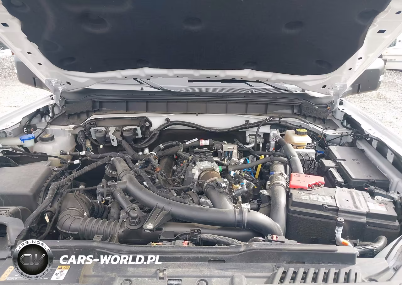 2023 Ford Bronco Wildtrak VIN:1FMEE5DP2PLB52667 - 10