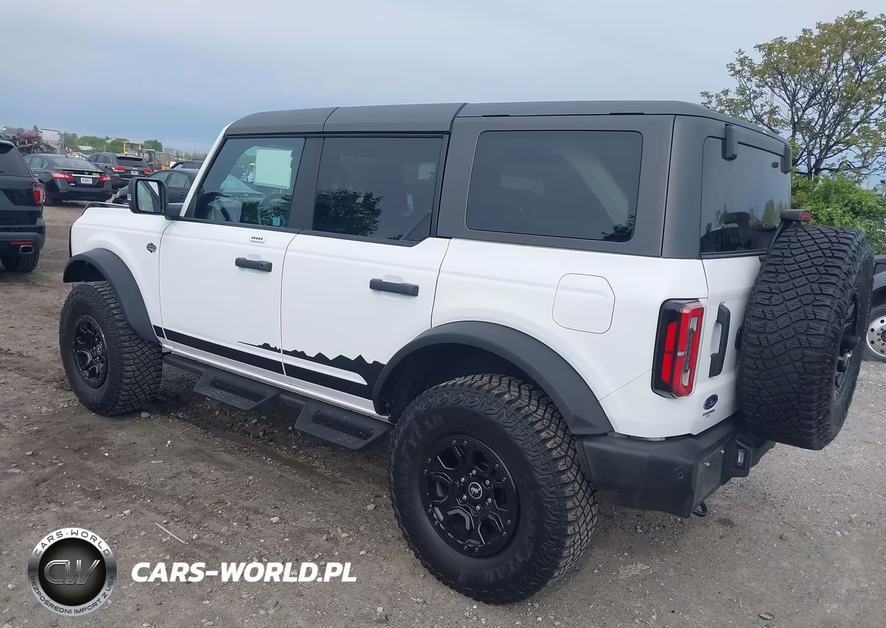 2023 Ford Bronco Wildtrak VIN:1FMEE5DP2PLB52667 - 3