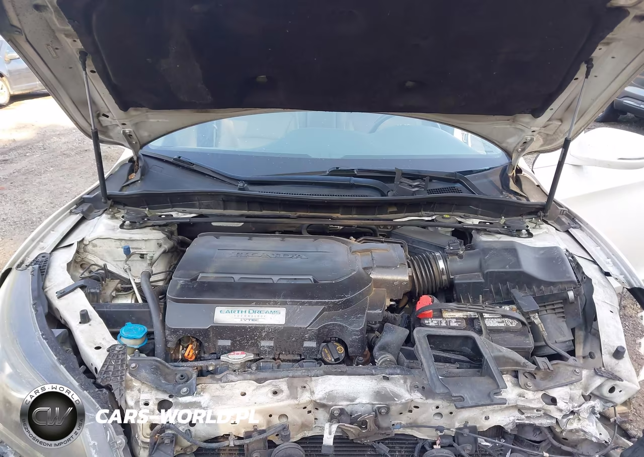 2014 Honda Accord Ex-L V-6 VIN:1HGCR3F86EA003344 - 10