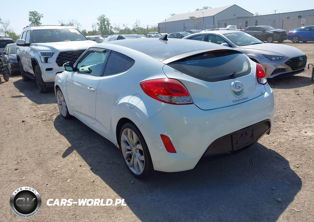 2013 Hyundai Veloster Base W-Gray VIN:KMHTC6AD3DU117381 - 3