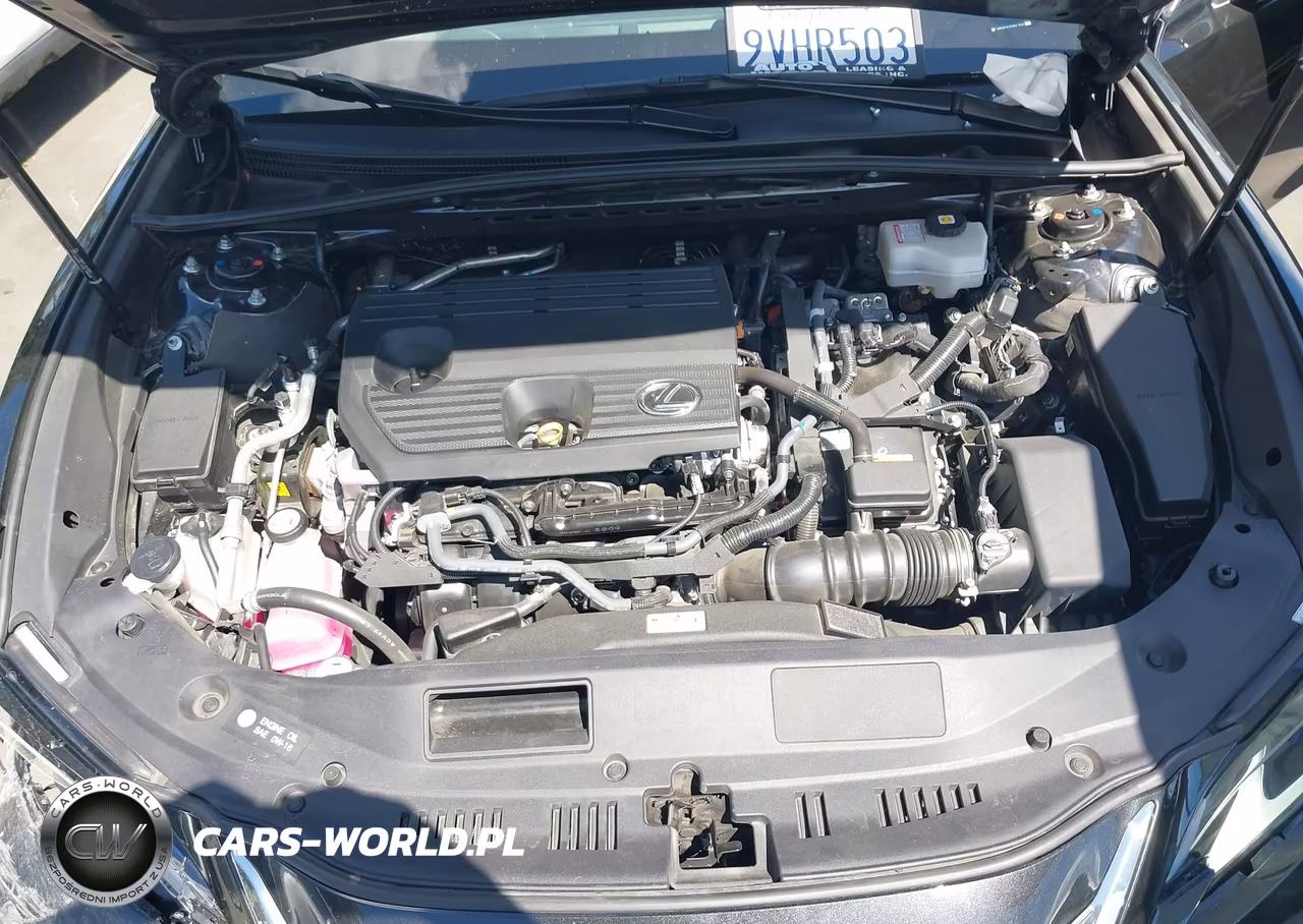 2025 Lexus Es 300H VIN:58ADA1C1XSU073532 - 10