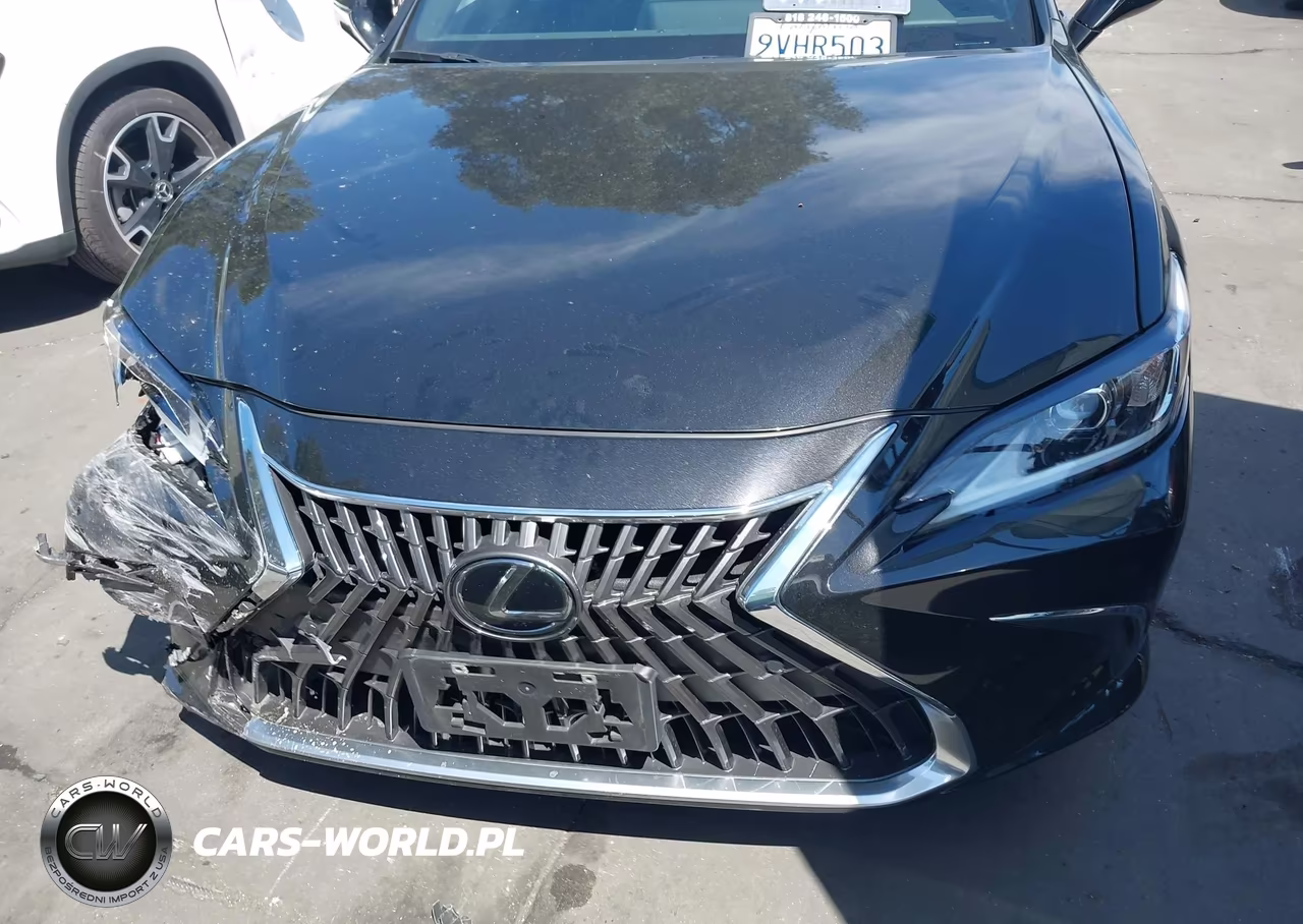 2025 Lexus Es 300H VIN:58ADA1C1XSU073532 - 13
