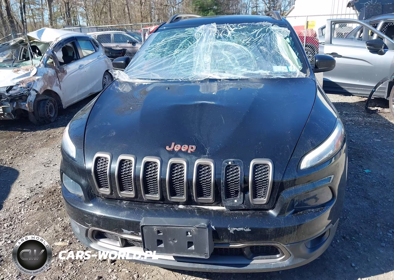 2016 Jeep Cherokee 75Th Anniversary VIN:1C4PJMCB0GW317249 - 12