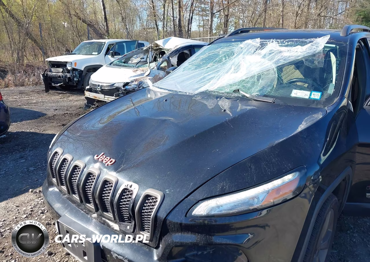 2016 Jeep Cherokee 75Th Anniversary VIN:1C4PJMCB0GW317249 - 6