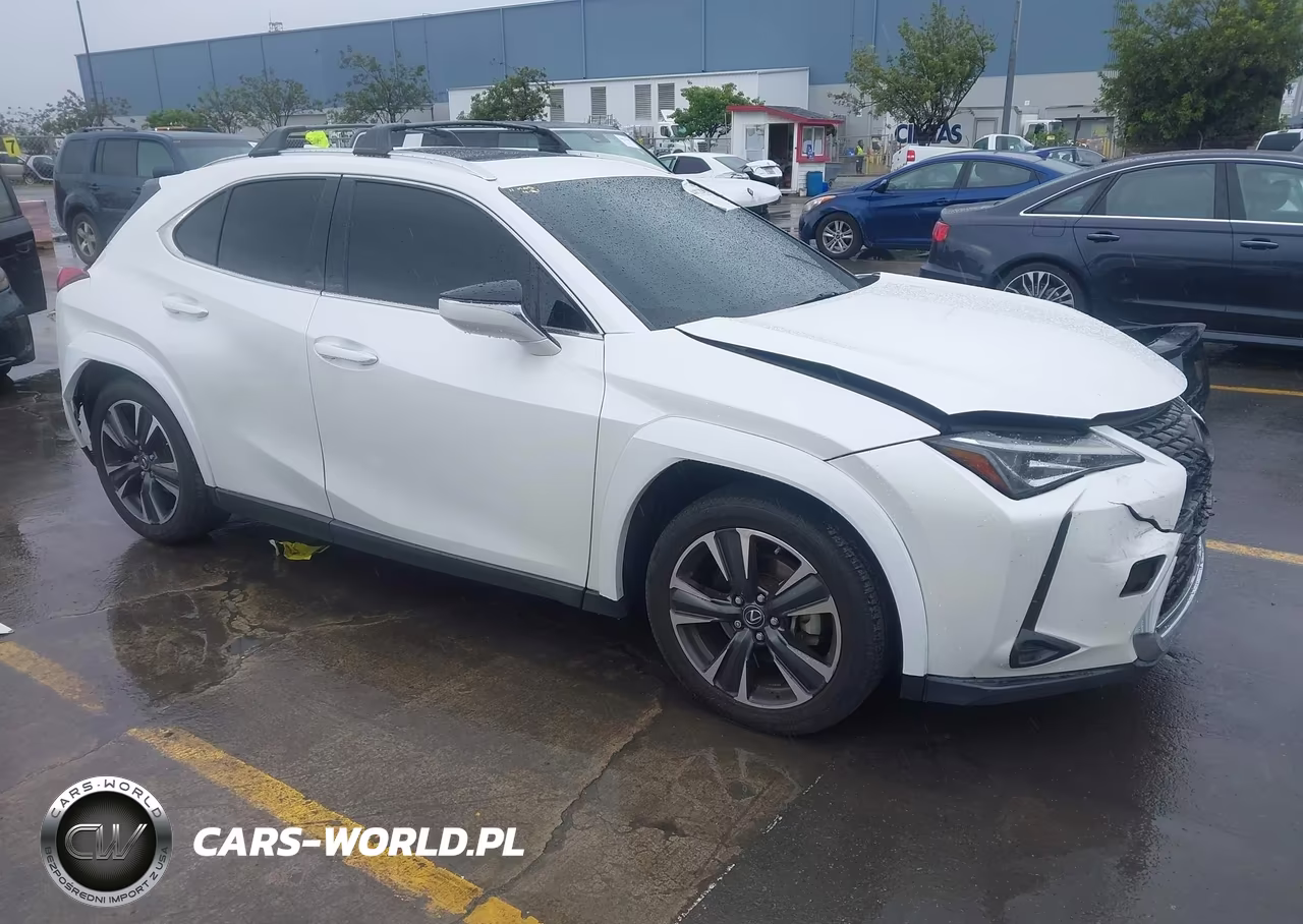 2019 Lexus Ux 200
